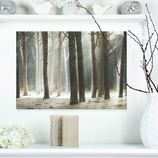 Designart - Maritime Pine Tree Forest with Rays